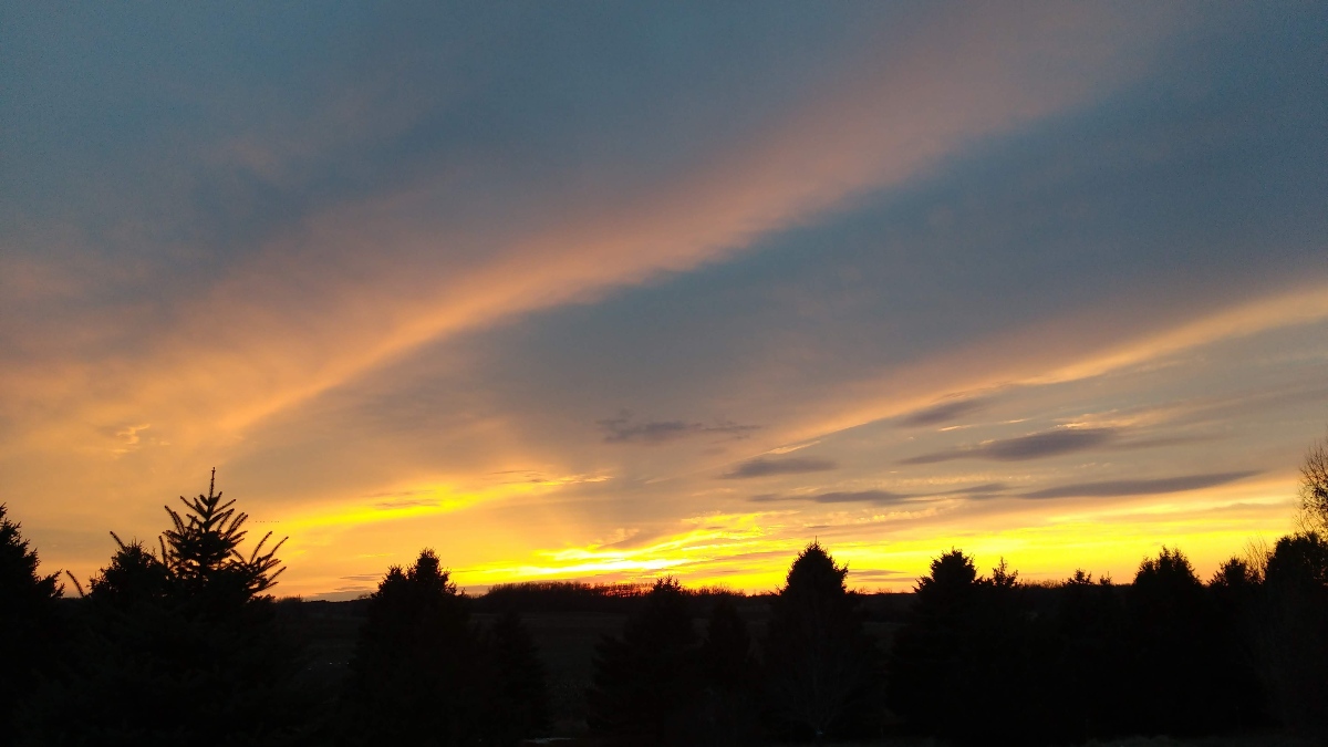 Beautiful sunset over forest in Wisconsin for Weird Animal News and Mark Putzer